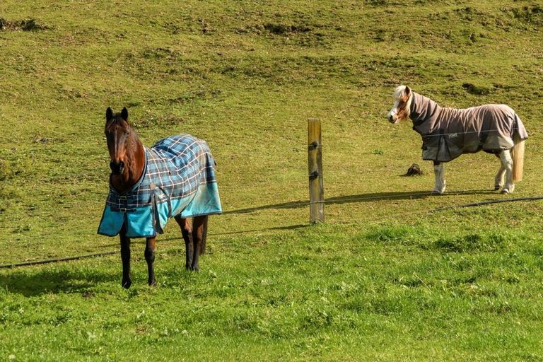 Photo of property in 80 Upland Road, Aongatete, Katikati, 3181