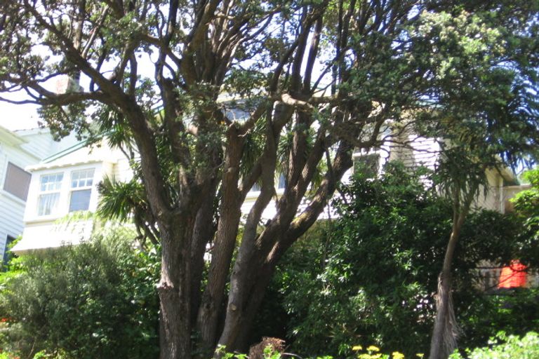 Photo of property in 68 Raroa Road, Kelburn, Wellington, 6012