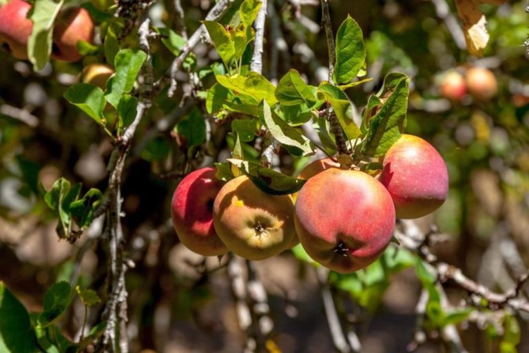 Photo of property in 61 Bliss Private Way, Thames, 3577