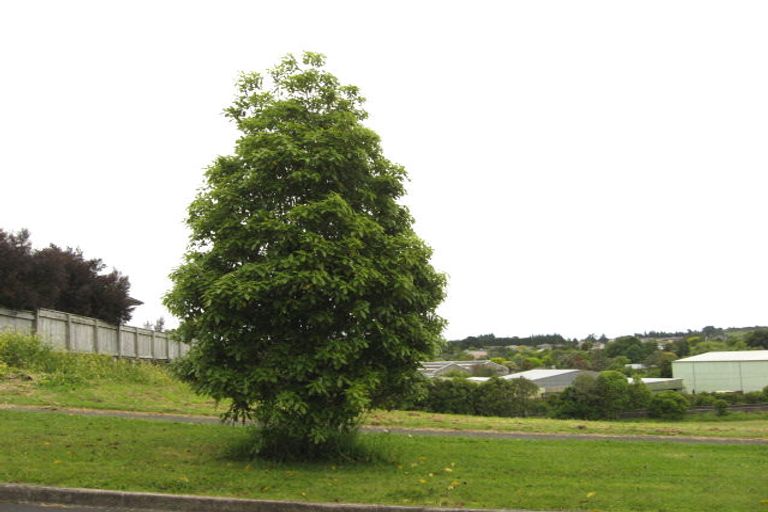 Photo of property in 17 Totara Avenue, Pukekohe, 2120