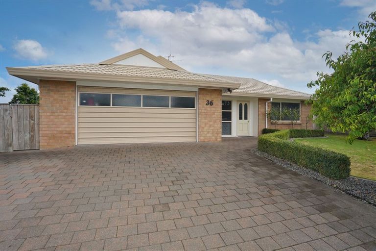 Photo of property in 36 Macmurdo Avenue, Glenview, Hamilton, 3206