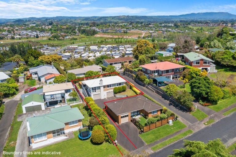 Photo of property in 38 The Drive, Brookfield, Tauranga, 3110