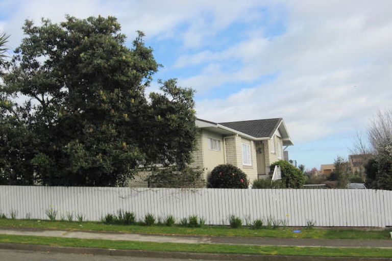 Photo of property in 21 Argyle Avenue, Levin, 5510