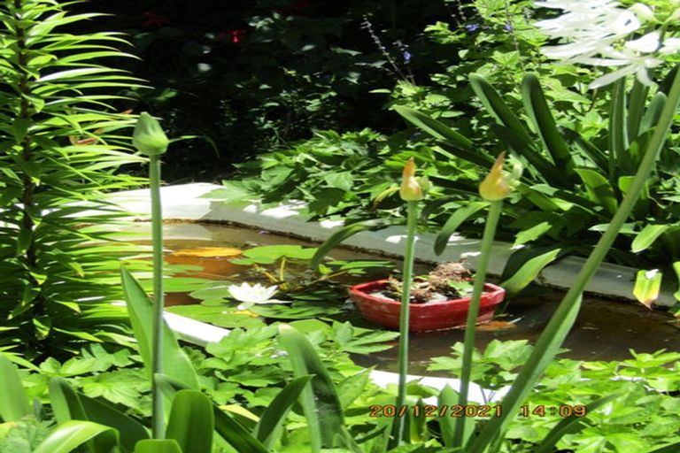 Photo of property in 608 Apley Road, Puketapu, Napier, 4184