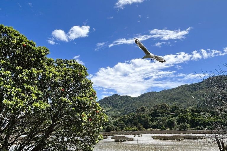 Photo of property in 56 Totara Avenue, Collingwood, 7073