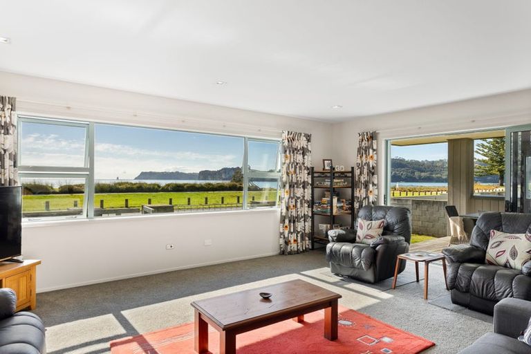 Photo of property in 38 Buffalo Beach Road, Whitianga, 3510