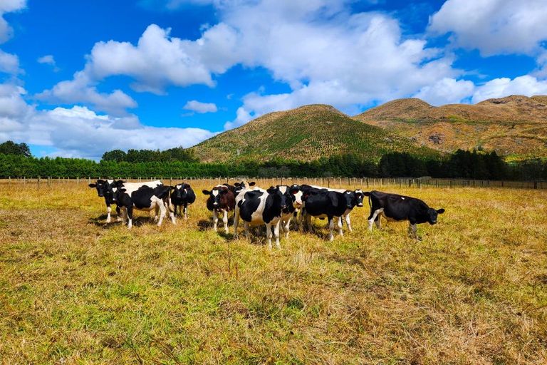 Photo of property in 710 Sommerville Road, Tangowahine, Dargaville, 0372