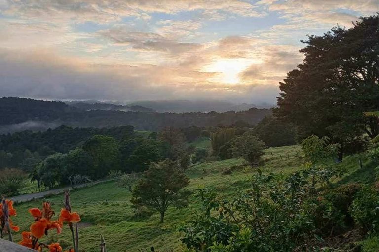 Photo of property in 945 Springfield Road, Springfield, Whangarei, 0178