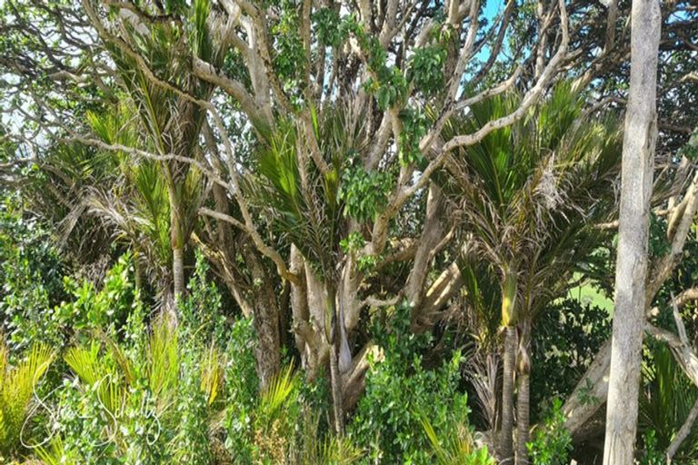 Photo of property in 872 Bickerstaffe Road, Maungaturoto, 0587