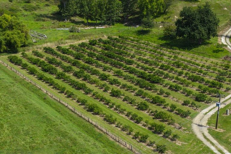 Photo of property in 55 Harrington Road, Muriwai, Gisborne, 4072