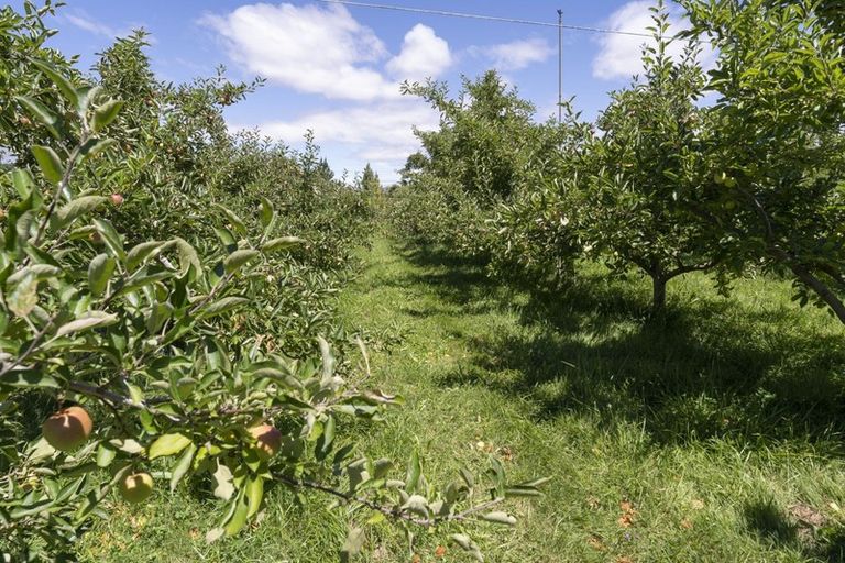 Photo of property in 4 O'neill Lane, Springvale, Alexandra, 9393