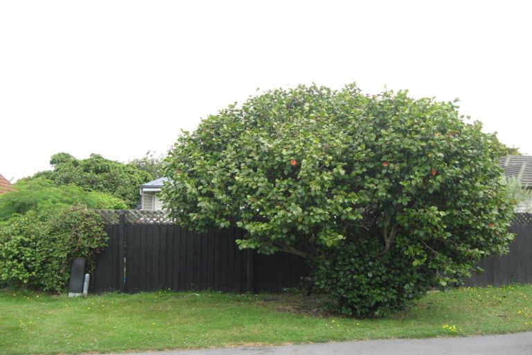 Photo of property in 1/25 Kenwyn Avenue, St Albans, Christchurch, 8052
