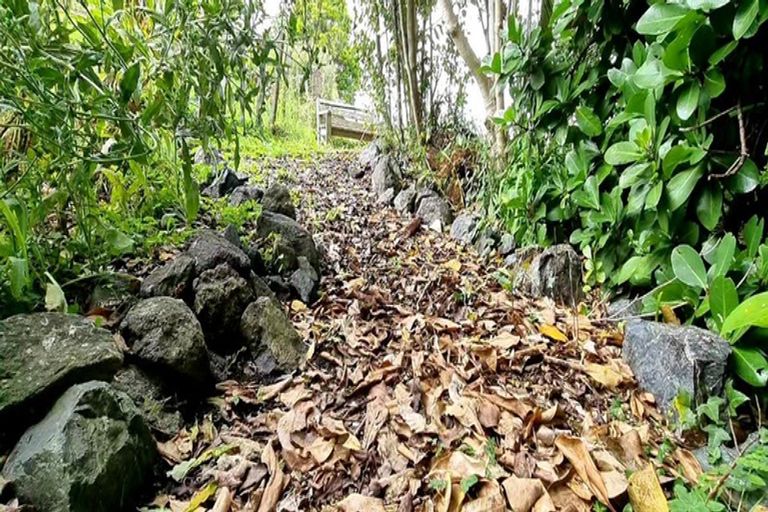 Photo of property in 26a Matheson Road, Wellsford, 0900