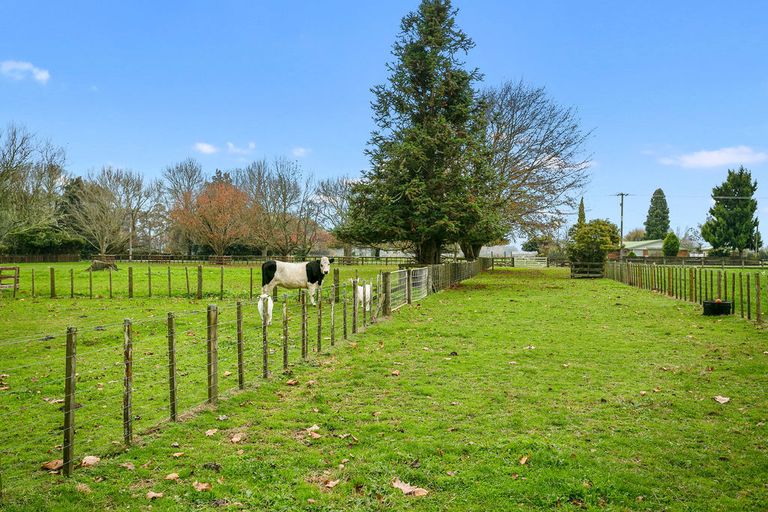 Photo of property in 145 Pickering Road, Tamahere, Cambridge, 3493