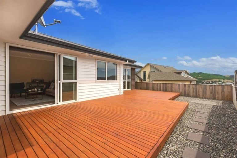 Photo of property in 64 John Burke Drive, Aotea, Porirua, 5024