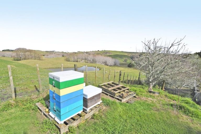 Photo of property in 301 Ranganui Road, Kaiwaka, 0573