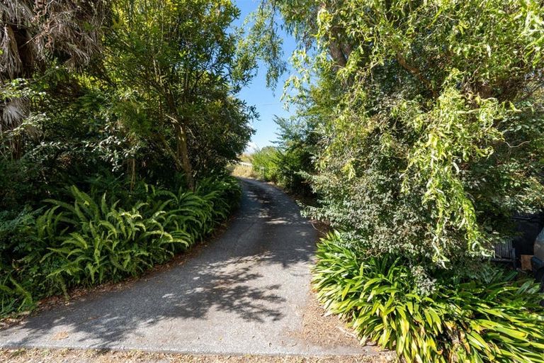 Photo of property in 127 Paihia Road, Kawakawa, 0210