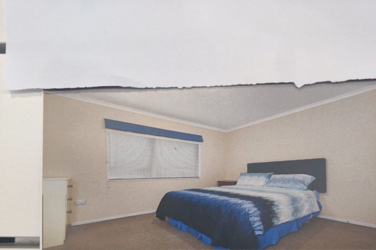 Photo of property in 1 Alva Glen Place, Pyes Pa, Tauranga, 3112