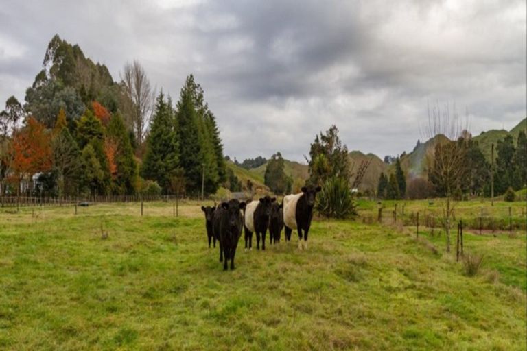 Photo of property in 298 Oio Road, Owhango, 3989