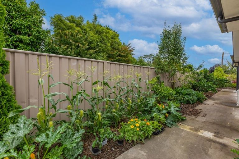 Photo of property in 908 Harding Road, Camberley, Hastings, 4120