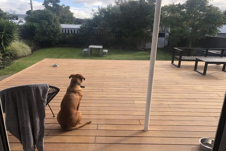 Photo of property in 8 Eskdale Road, Birkdale, Auckland, 0626