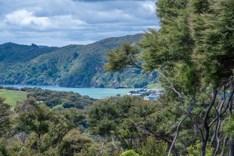 Photo of property in 38 Bowden Road, Taupo Bay, Mangonui, 0494