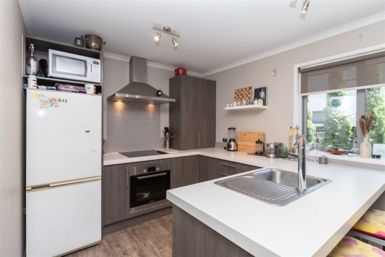 Photo of property in 16 Stadium Lane, Whitiora, Hamilton, 3200