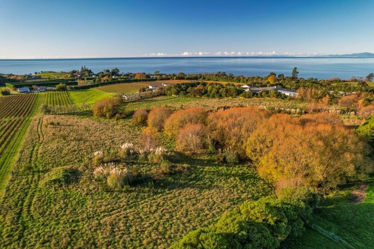 Photo of property in 50 Cliff Road, Tasman, Upper Moutere, 7173