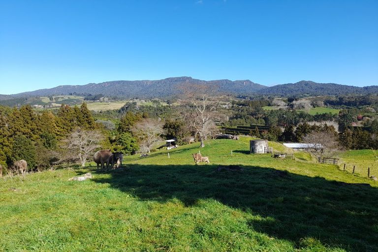 Photo of property in 12 Upland Road, Aongatete, Katikati, 3181