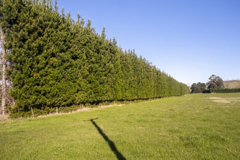 Photo of property in 1003 State Highway 2, Mikimiki, Masterton, 5881