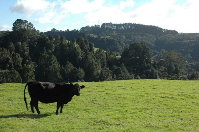 Photo of property in 540 Krippner Road, Puhoi, Warkworth, 0994