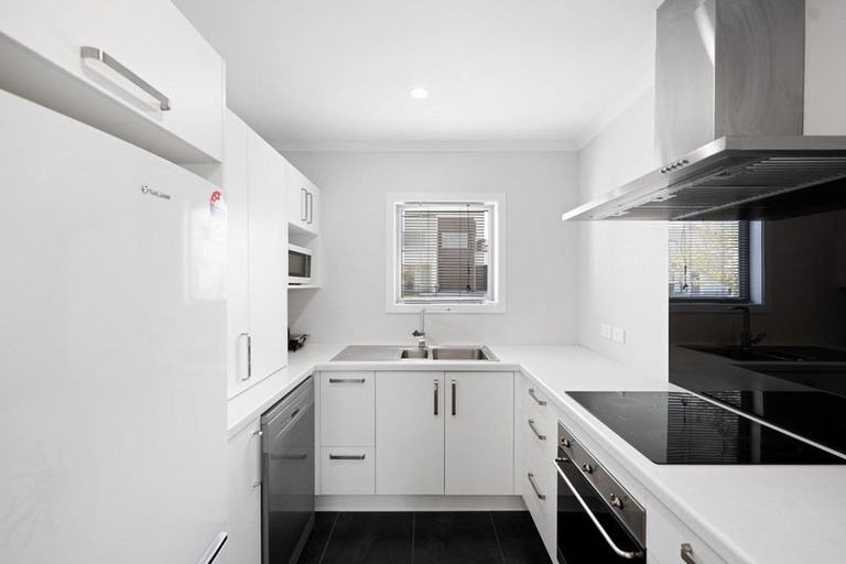 Photo of property in 66 Tennille Street, Flagstaff, Hamilton, 3210