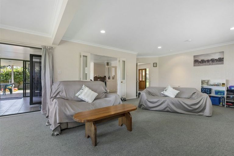 Photo of property in 117 Haukore Street, Hairini, Tauranga, 3112