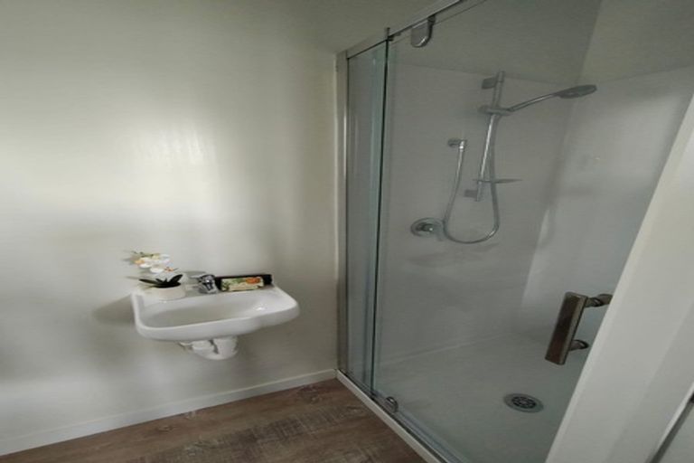 Photo of property in 53 Albert Street, Hamilton East, Hamilton, 3216