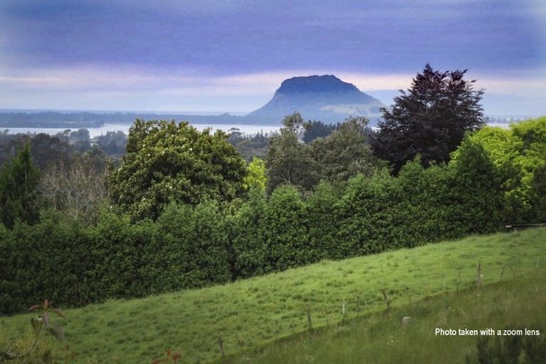 Photo of property in 313 Youngson Road, Whakamarama, Tauranga, 3179