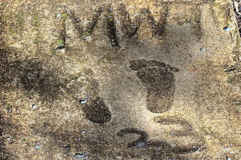 Photo of property in 2/47 Flaxdale Street, Birkdale, Auckland, 0626