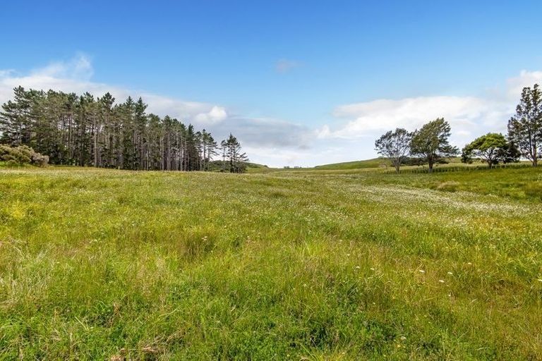 Photo of property in 348 Blackbridge Road, Dairy Flat, Albany, 0794