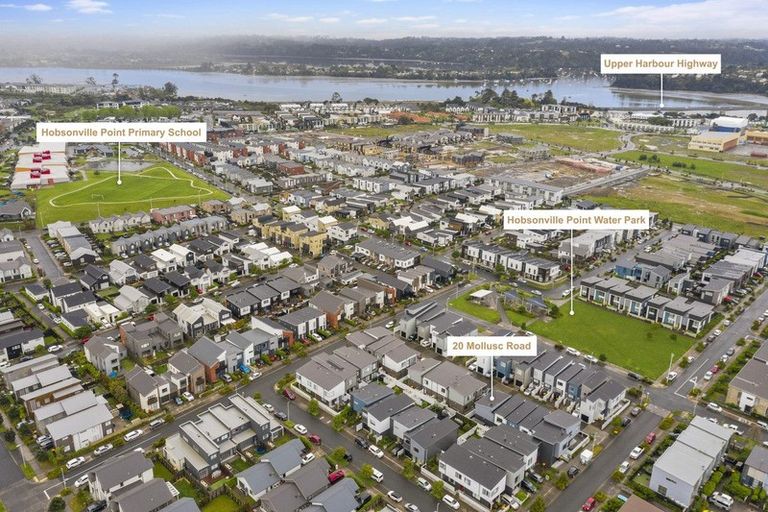 Photo of property in 20 Mollusc Road, Hobsonville, Auckland, 0616