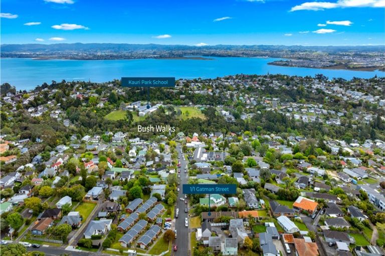 Photo of property in 1/1 Gatman Street, Birkdale, Auckland, 0626