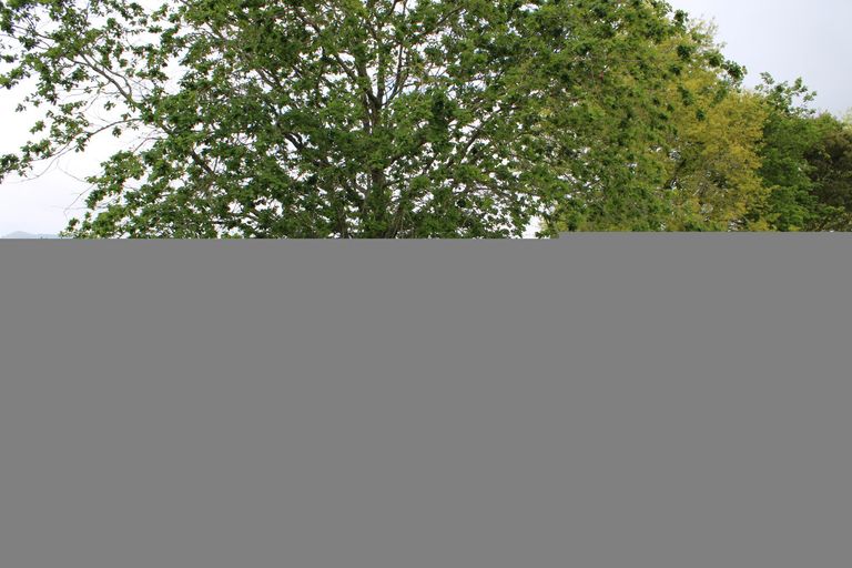 Photo of property in 183 Kimihia Road, Huntly, 3771