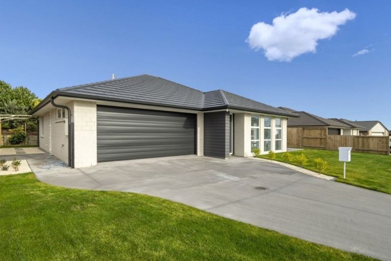 Photo of property in 77 Bert Wall Drive, Omokoroa, 3114