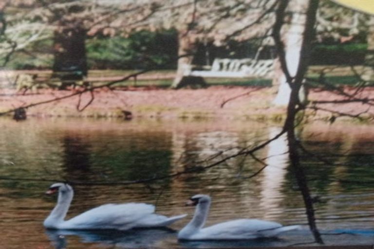 Photo of property in 29 Aldridge Road, Hunua, Papakura, 2583