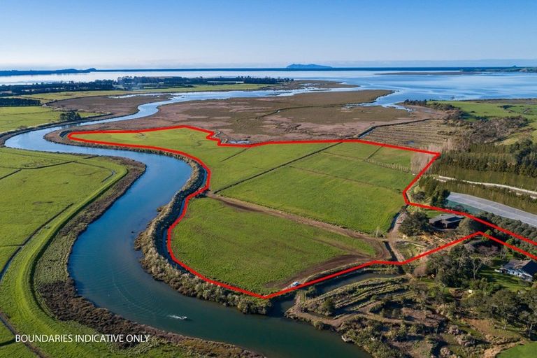 Photo of property in 24 Banks Drive, Aongatete, Katikati, 3181