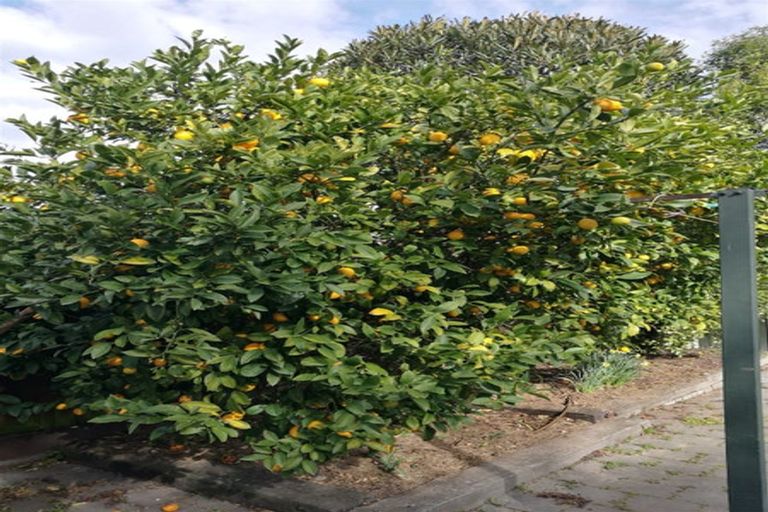 Photo of property in 37 Burwood Road, Burwood, Christchurch, 8083