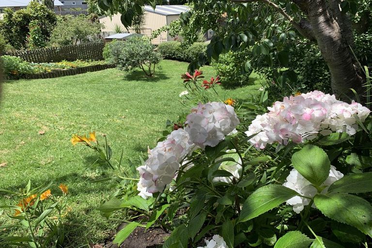 Photo of property in 31 Dale Road, Raumati South, Paraparaumu, 5032