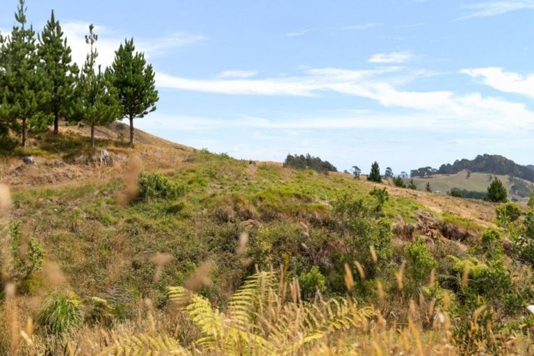 Photo of property in 166c Heard Road, Waihi, 3681