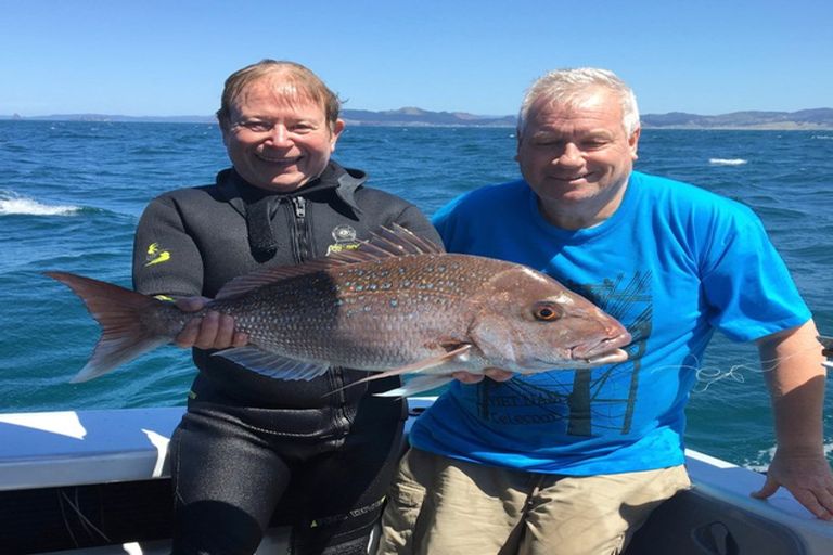 Photo of property in 88 Opito Bay Road, Opito Bay, Whitianga, 3592