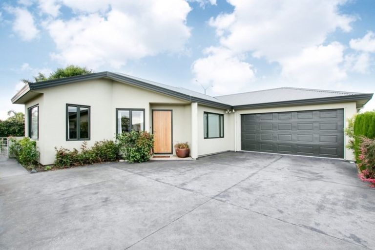 Photo of property in 2c Westminster Avenue, Tamatea, Napier, 4112