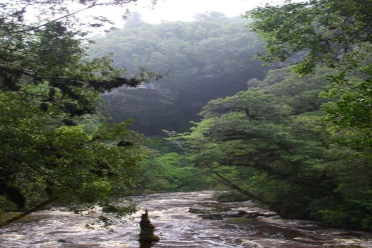 Photo of property in 61 Glasseye Drive, Little Wanganui, Karamea, 7893