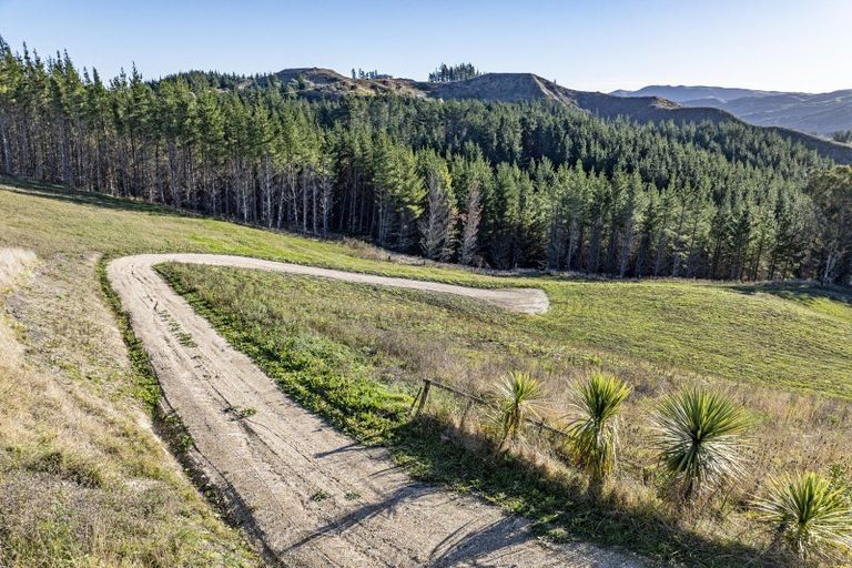 Photo of property in 1000 Kahuranaki Road, Kahuranaki, 4295